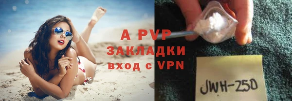 шишки Балахна