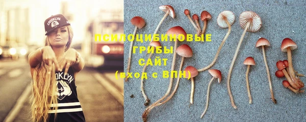 шишки Балахна