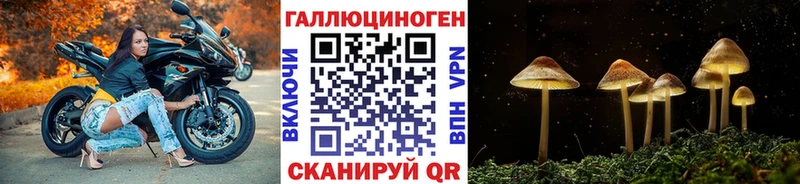 закладка  блэк спрут ссылки  Псилоцибиновые грибы Cubensis  Цивильск 
